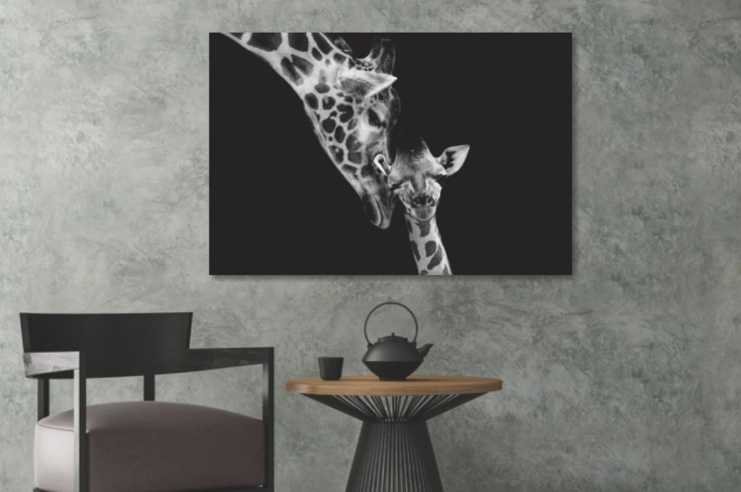 Glasbilder Zwei giraffen in schwarz-weiß 120x80 cm