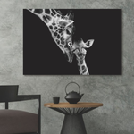 Glasbilder Zwei giraffen in schwarz-weiß 120x80 cm