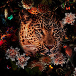 Glasbilder panther umringt von Blumen 80x80 cm