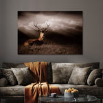 Glasbild Hirsch in der natur 120x80 cm