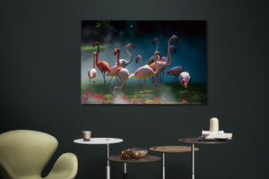 Glasbilder flamingos 120x80 cm