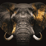 Glasbilder Elefant close-up goldene Akzente 120x80 cm