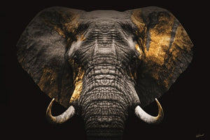 Glasbilder Elefant close-up goldene Akzente 120x80 cm