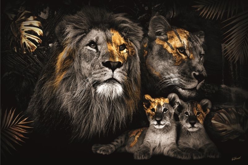 Glasbilder löwen familie 2 kinder goldene Akzente 120x80 cm